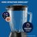 BLSTPEG-CPB-5.jpg
