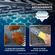 SAP_2223842_7